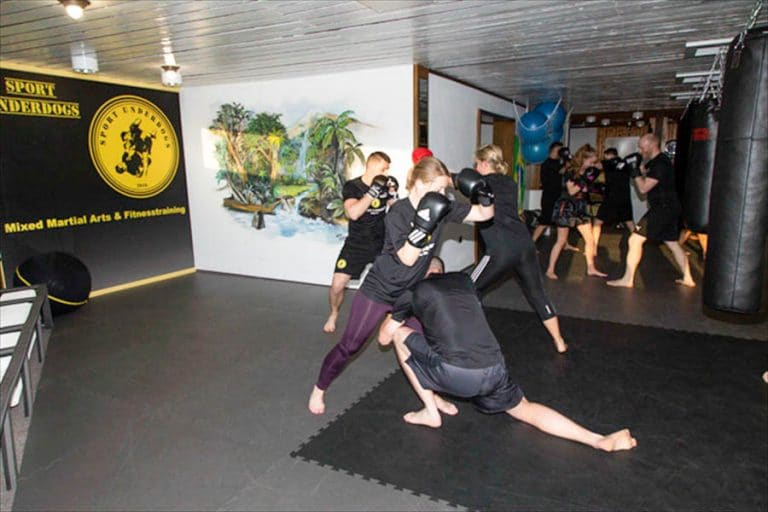Sportschule Sport Underdogs, Castrop-Rauxel MMA Mixed Martial Arts Training